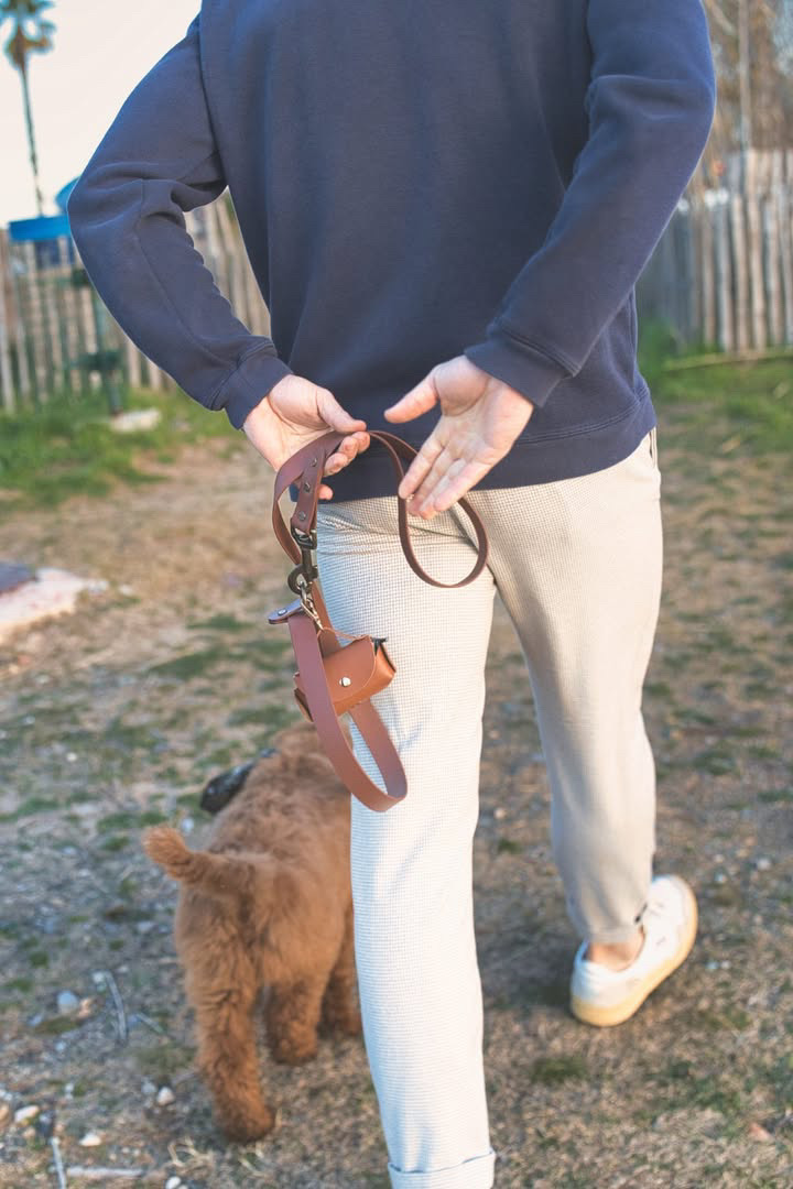 Laisse en biothane – Image 9