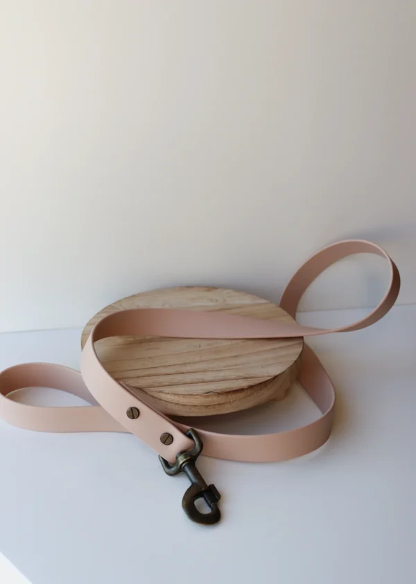 collier pour chien en biothane et pierres naturelles