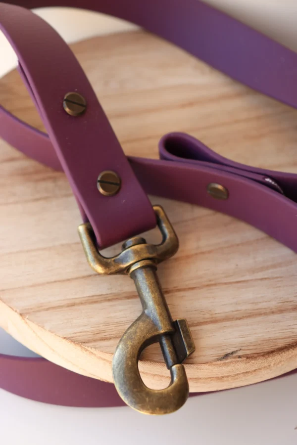 collier pour chien en biothane et pierres naturelles