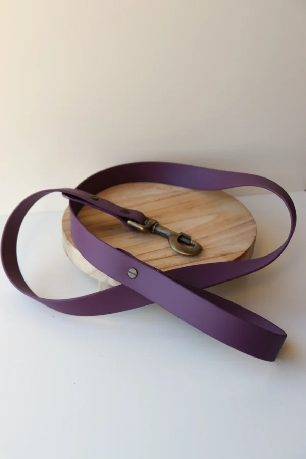collier pour chien en biothane et pierres naturelles
