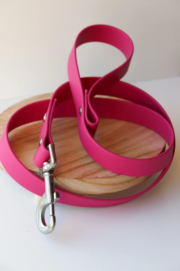 collier pour chien en biothane et pierres naturelles