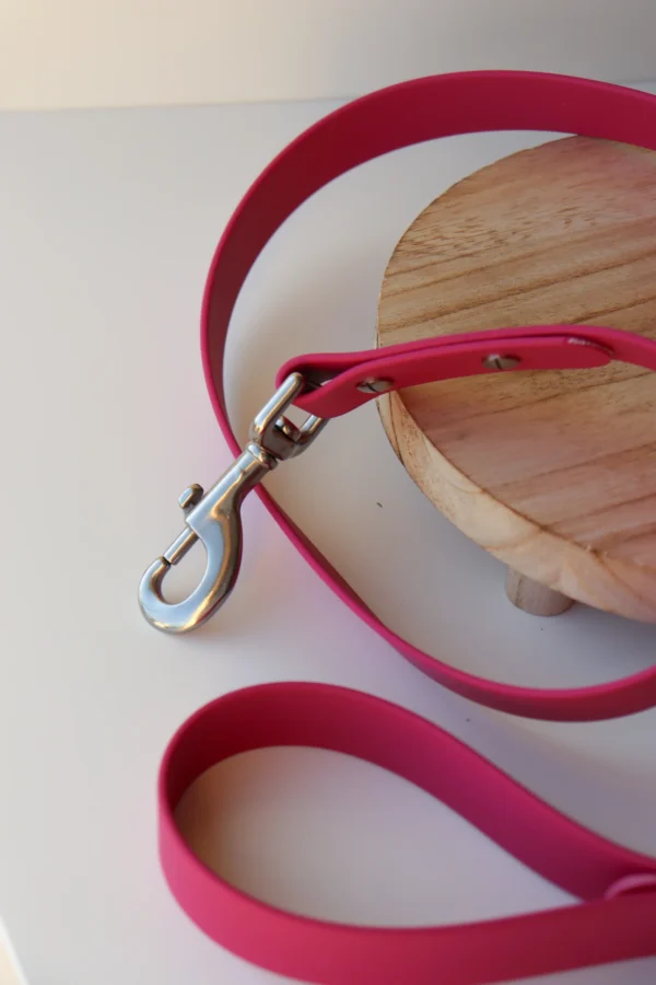 collier pour chien en biothane et pierres naturelles
