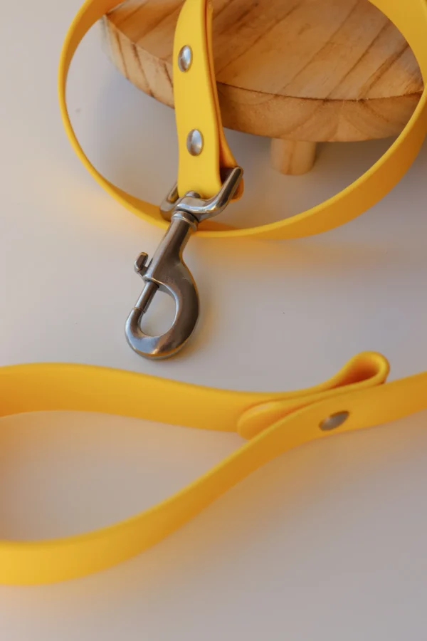 collier pour chien en biothane et pierres naturelles