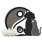 logo sheldies