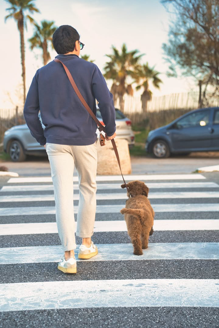 Laisse en biothane – Image 10