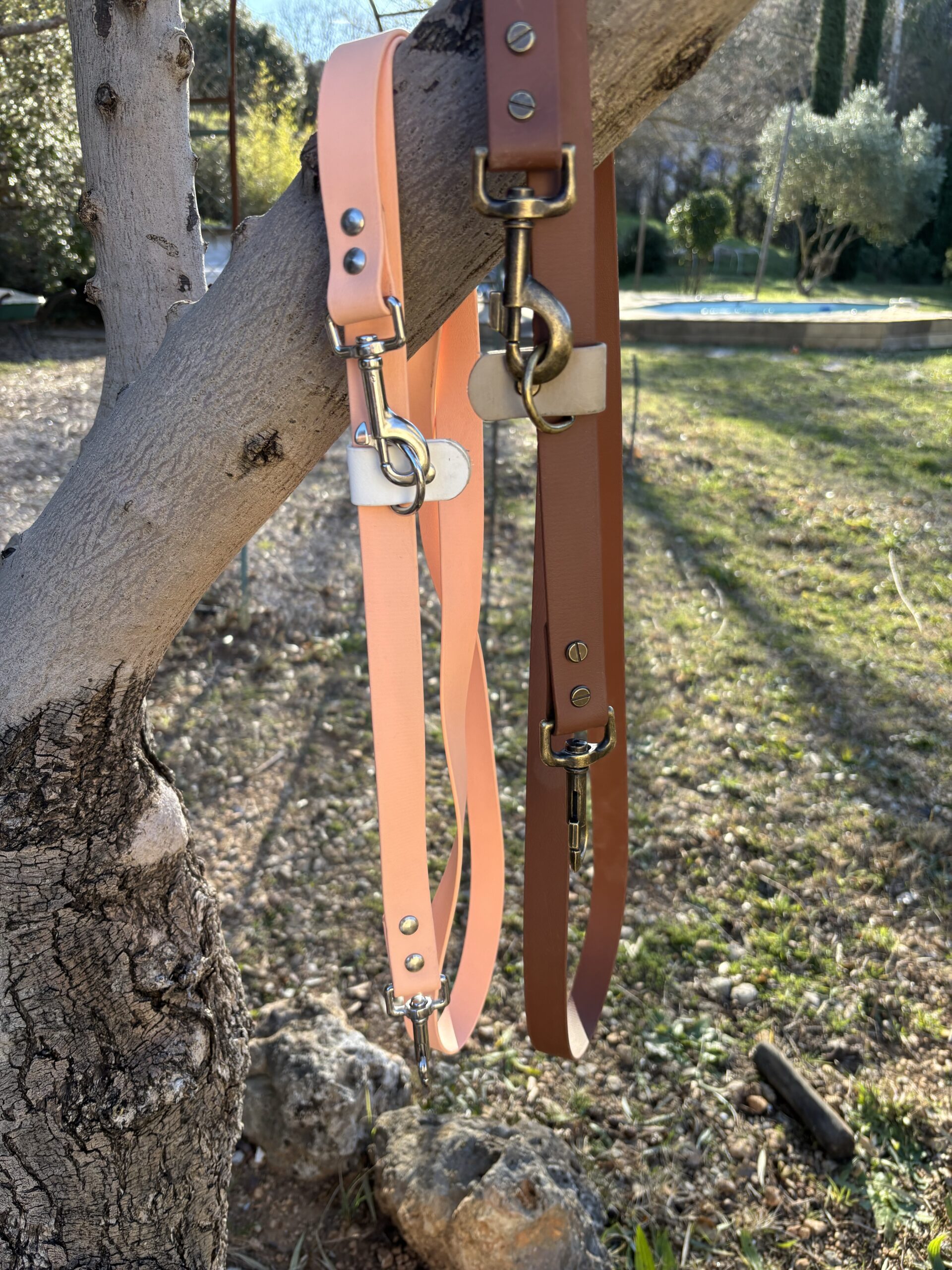 Laisse multi ajustable 25 mm