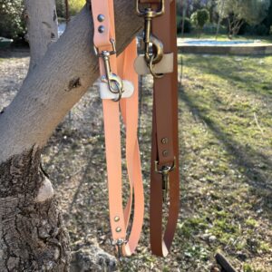 Laisse multi ajustable 25 mm