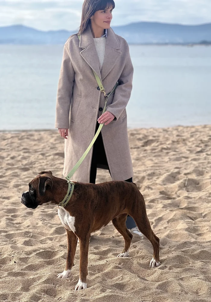 laisse biothane chien ajustable